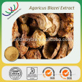 Free sample for trial HACCP KOSHER natural 40% polysaccharide bulk powder agaricus blazei extract